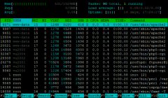 Linux Console